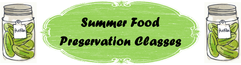 Summer Food Preservation